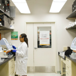 BA HONS in Healthcare practise